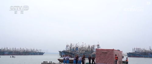 周边产品与出境游双轮驱动，端午经济呈现多元新态势